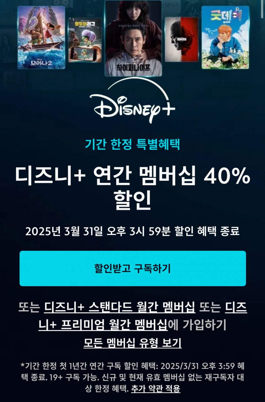 디플 40퍼 할인 들어갔어!!!!!! | 인스티즈