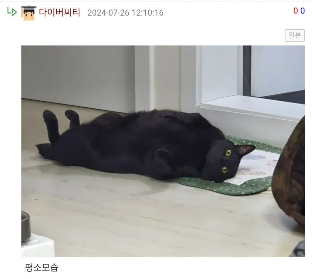 집 수리하는 아저씨 오셔서 셋 다 숨음 | 인스티즈