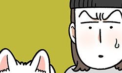 개가 없으면 서로를 알아보지 못하는 사람들 | 인스티즈