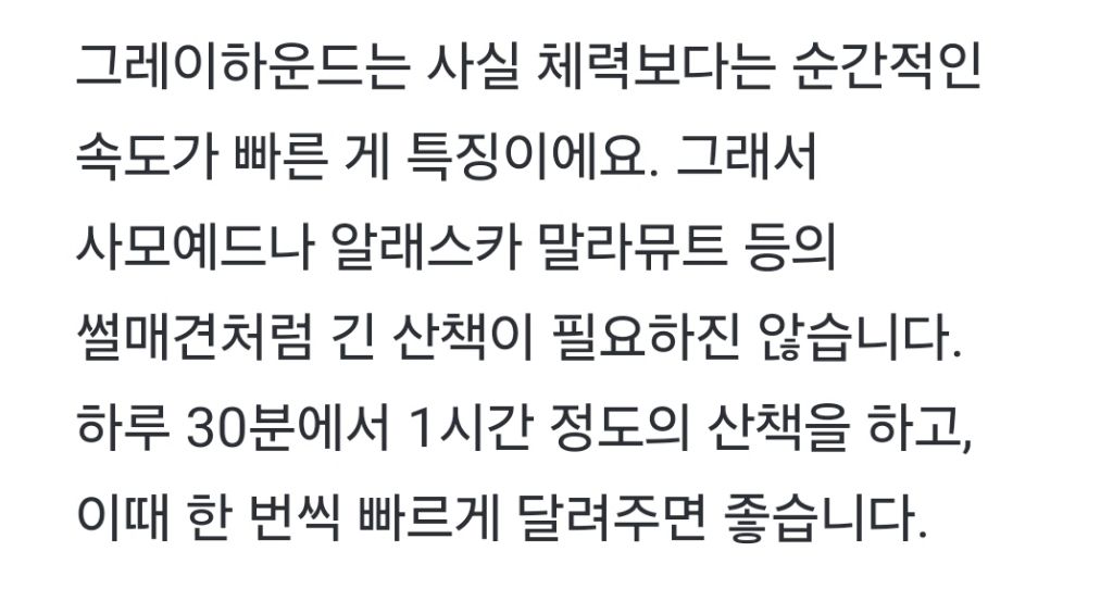  그레이 하운드 산책 수준.gif