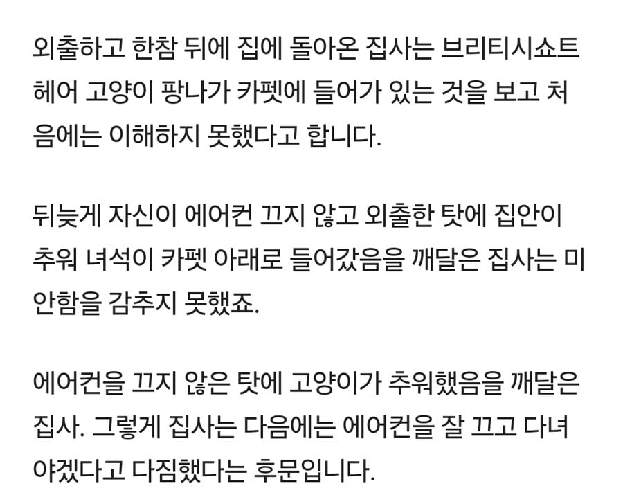 에어컨 끄는 것 깜빡 잊고 외출 나갔다 집에 돌아온 집사가 목격한 고양이의 반응 | 인스티즈