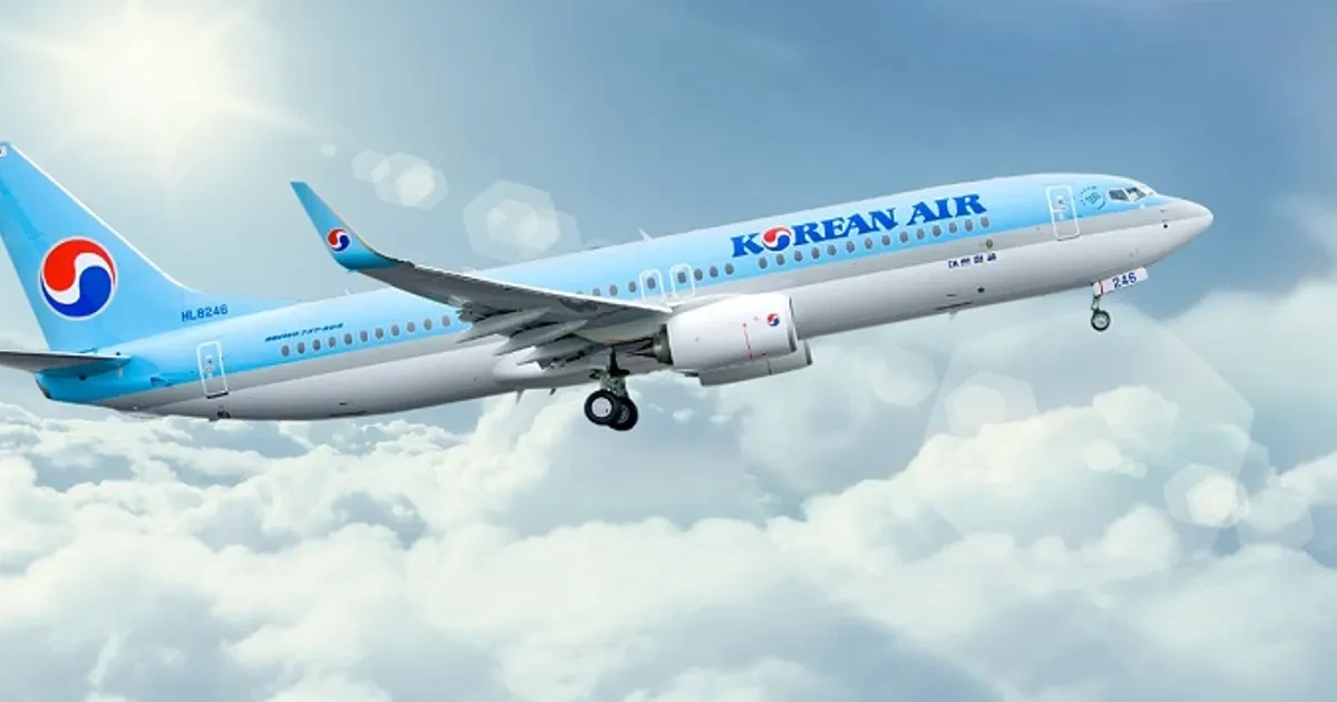 방금 공개된 대한항공 비행기 신규 도장 (로고바뀜) | 인스티즈