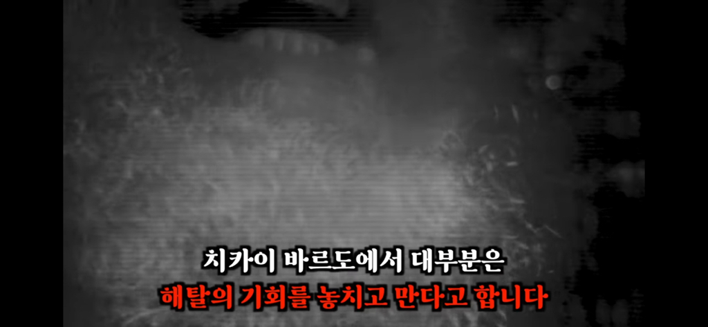 죽고나서 지구로 환생안하는 방법 4탄 | 인스티즈