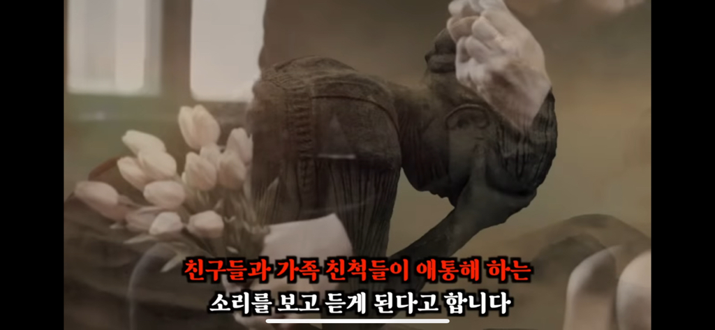 죽고나서 지구로 환생안하는 방법 4탄 | 인스티즈