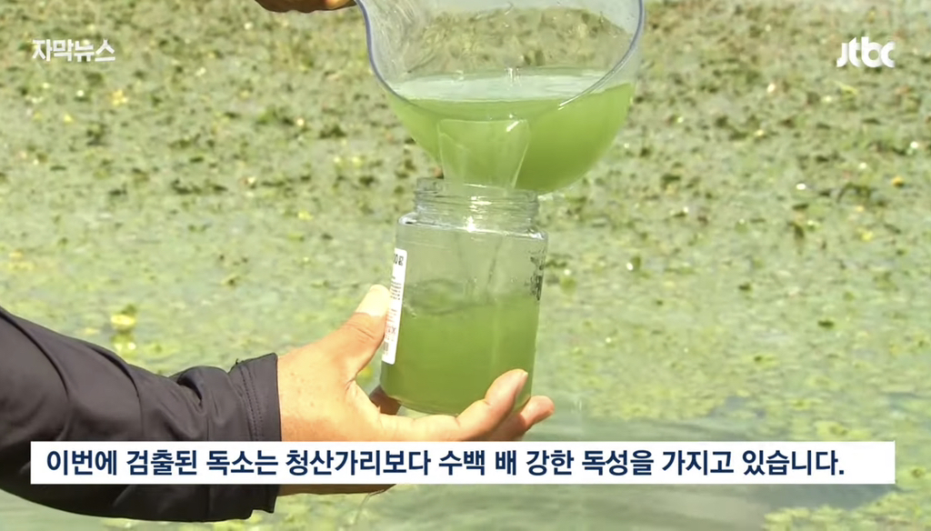 4대강 근황 | 인스티즈