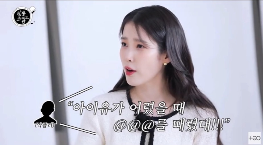 아이유가 말하는 악플의 범주 | 인스티즈