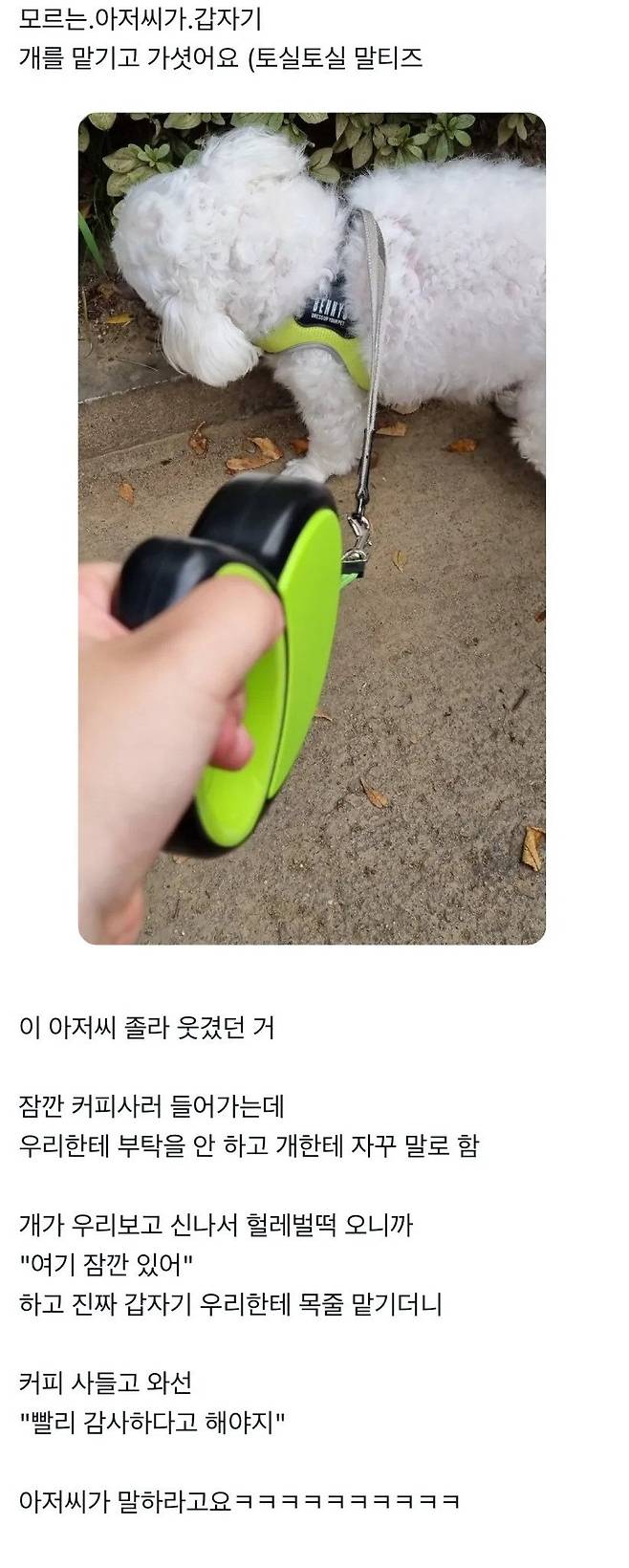 어떤 아저씨가 길에서 개 맡기고감 | 인스티즈