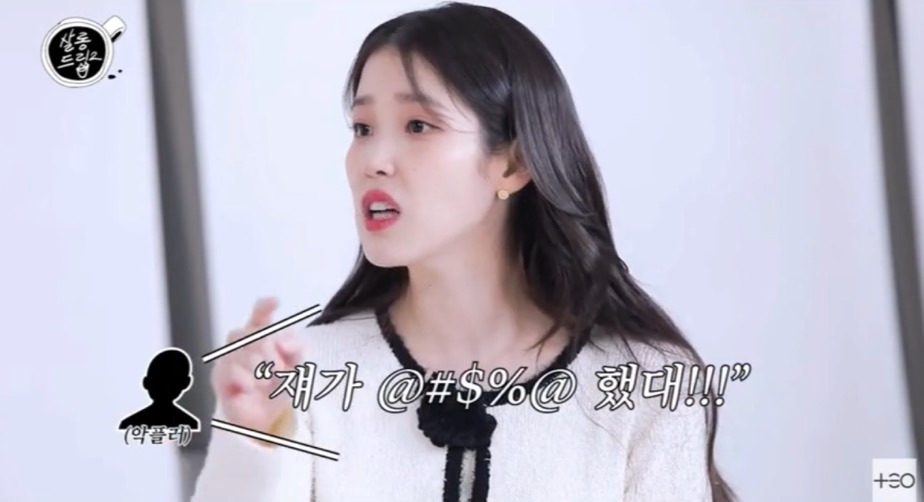 아이유가 말하는 악플의 범주 | 인스티즈