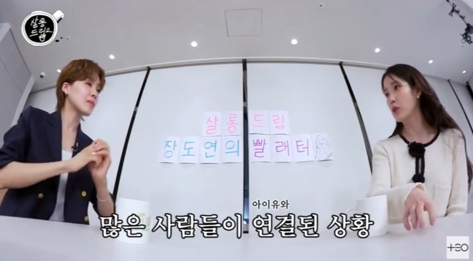 아이유가 말하는 악플의 범주 | 인스티즈