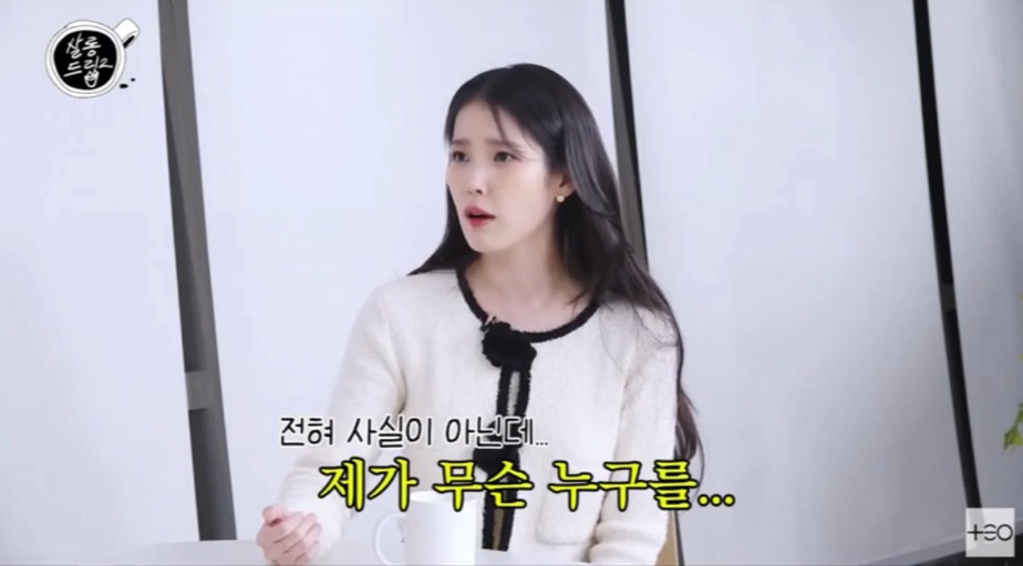 아이유가 말하는 악플의 범주 | 인스티즈