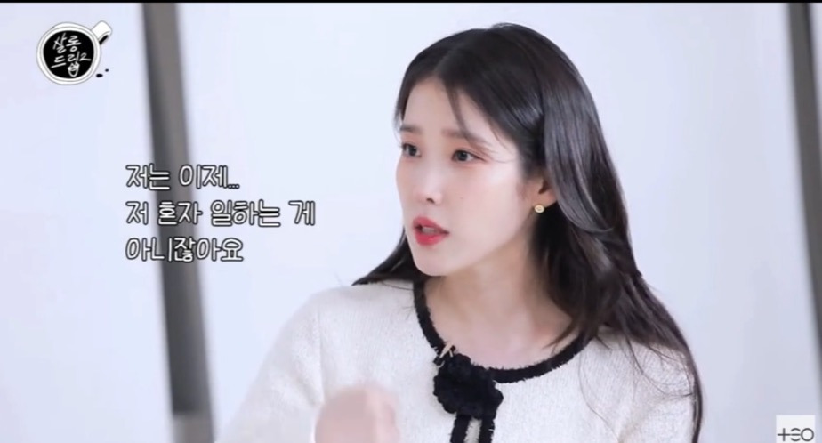 아이유가 말하는 악플의 범주 | 인스티즈