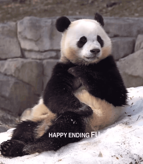 재채기도 귀엽게 하는 후이바오🐼💦 | 인스티즈