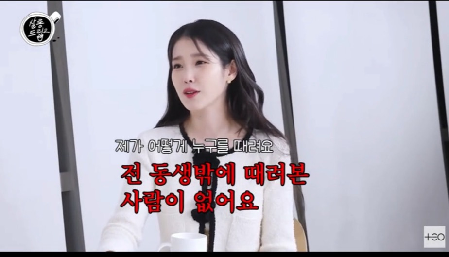 아이유가 말하는 악플의 범주 | 인스티즈