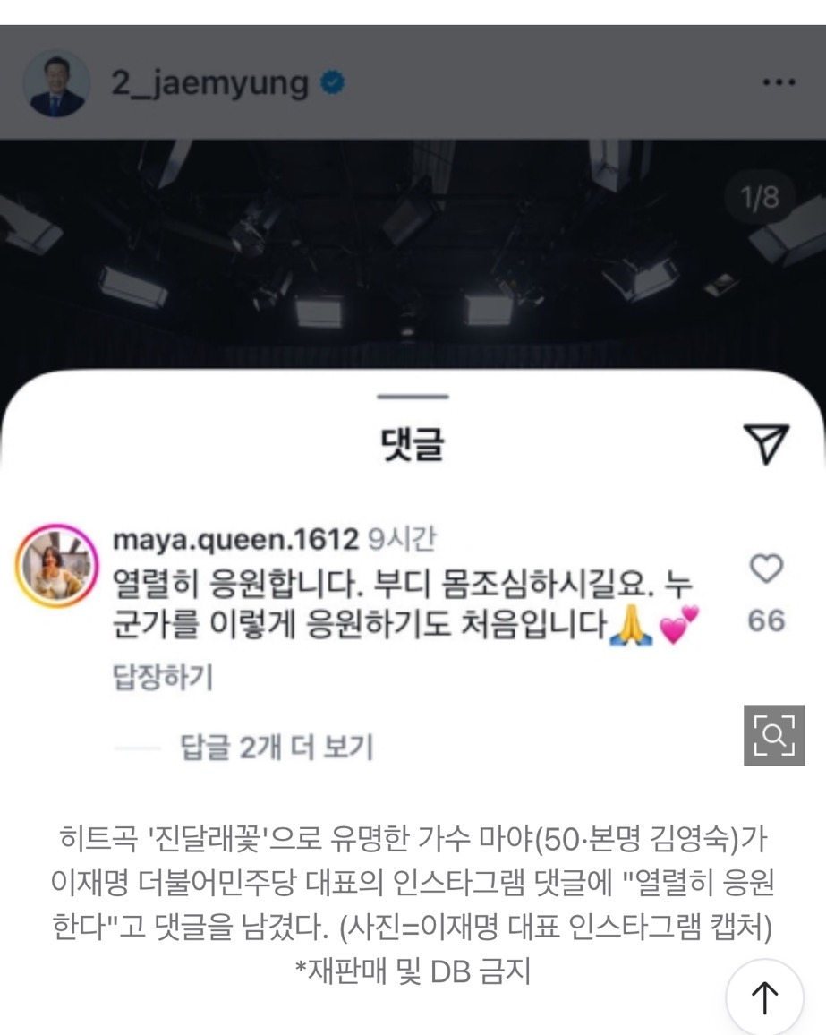 '진달래꽃' 가수 마야, "이재명 열렬히 응원한다" 댓글 남겨 | 인스티즈