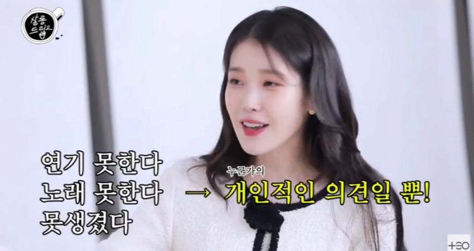  아이유가 말하는 악플의 범주1