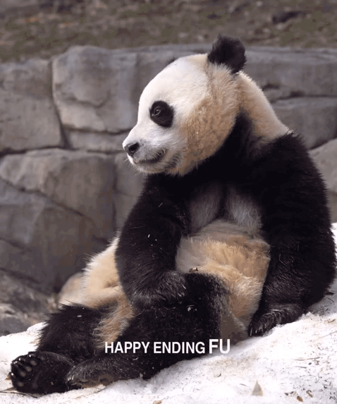 재채기도 귀엽게 하는 후이바오🐼💦 | 인스티즈