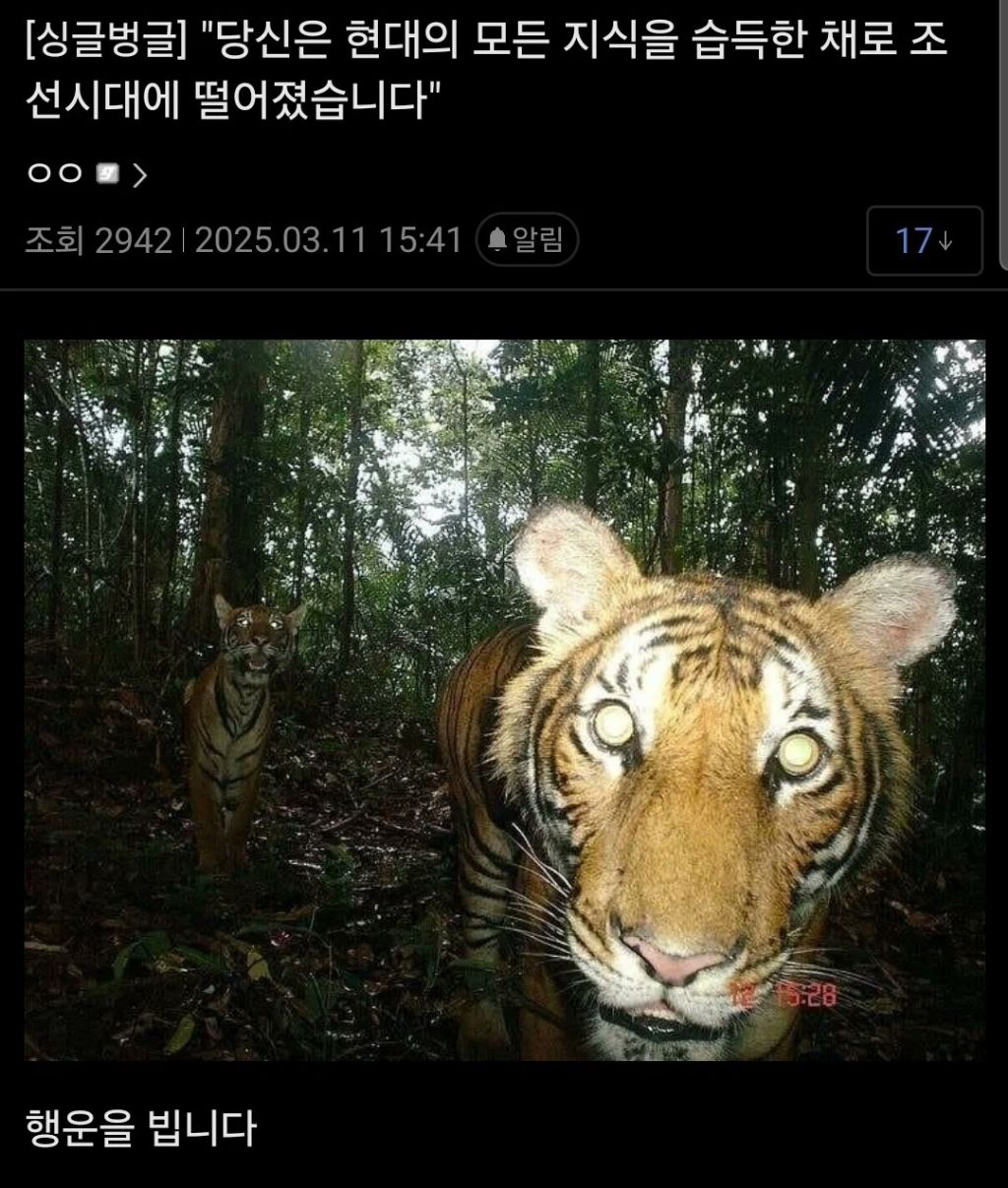  당신은 현대의 모든 지식을 습득한 채로 조선시대에 떨어졌습니다