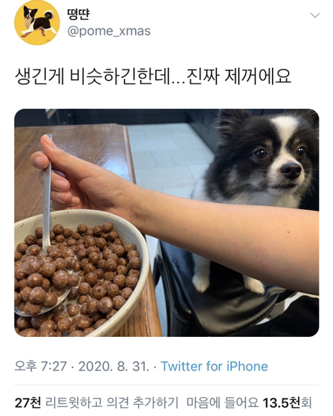  자식 등에 업고 일하는 먹방 유튜버