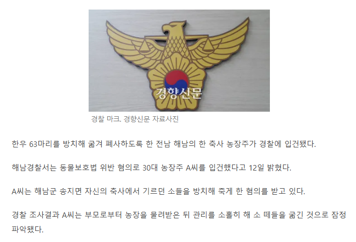 한우 63마리 떼죽음, 알고보니 주인이 굶겨···30대 농장주 "바빠서 관리 못했다”