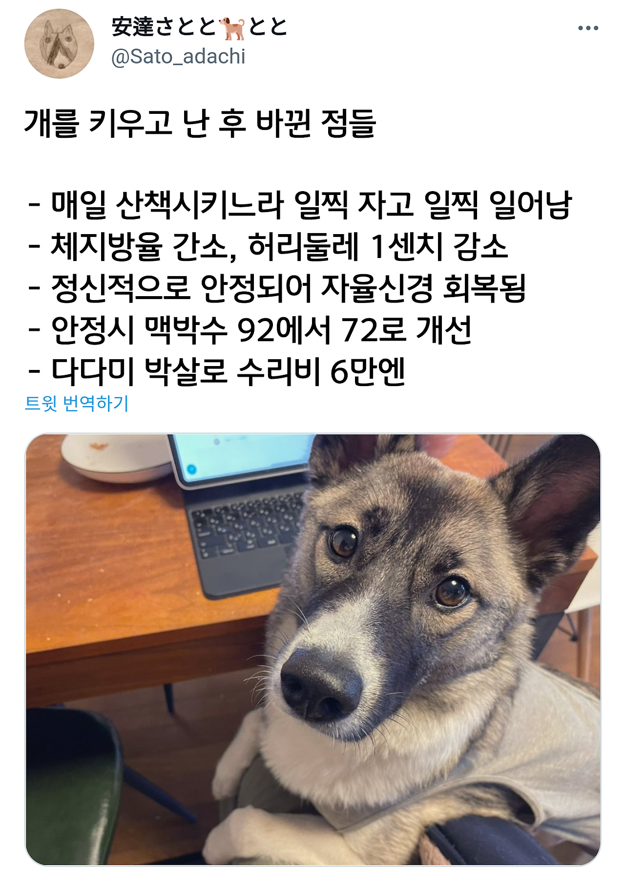  개를 키우고 바뀐 점이 많다는 일본인