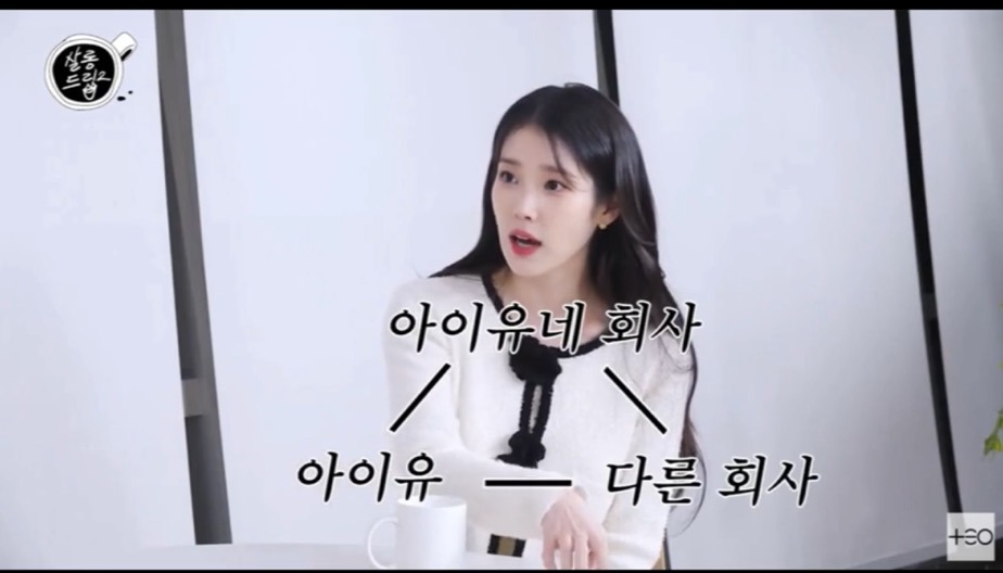 아이유가 말하는 악플의 범주 | 인스티즈