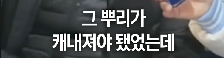 이나영 교수가 말하는 극우세력의 뿌리 | 인스티즈