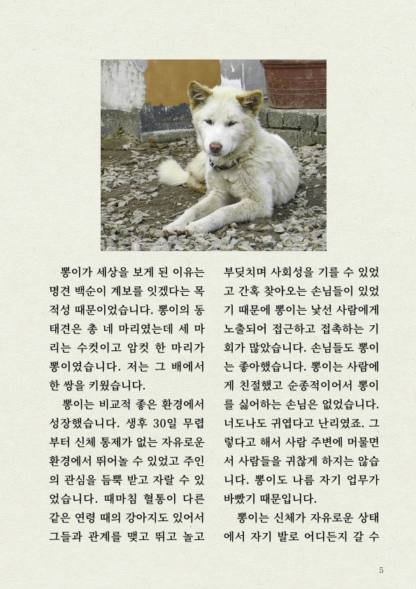 '진돗개' 타고난 감각 지능 | 인스티즈