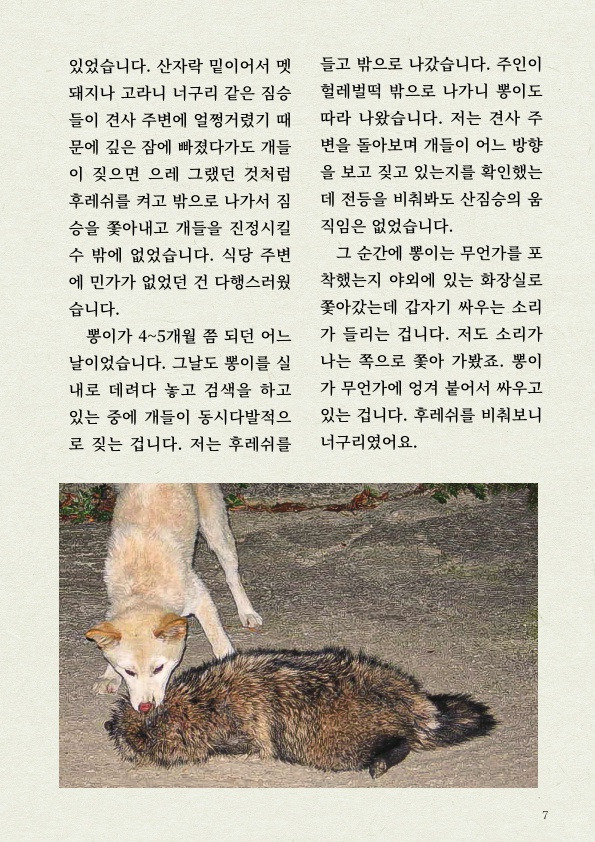'진돗개' 타고난 감각 지능 | 인스티즈