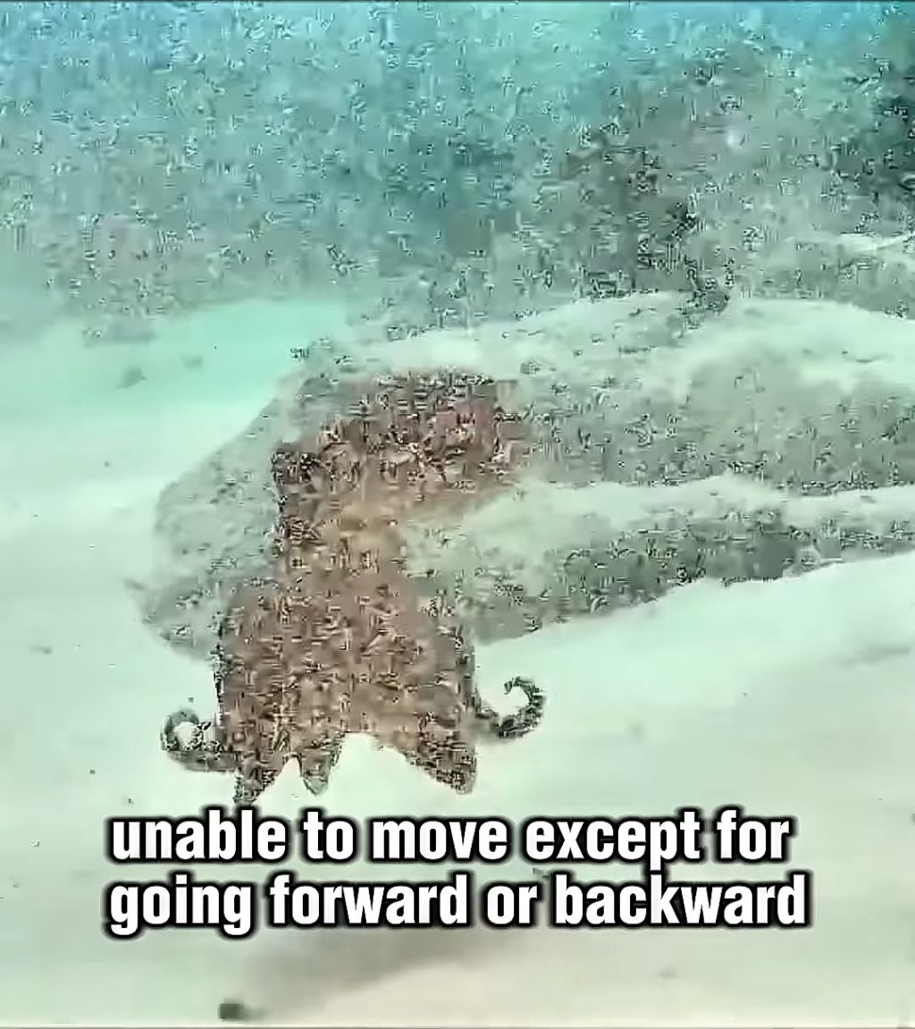 스파이하러 갔다가 찐친생김(feat. 🐙) | 인스티즈