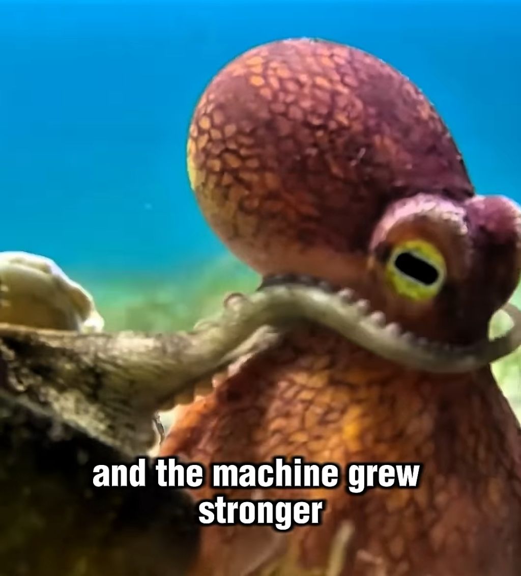 스파이하러 갔다가 찐친생김(feat. 🐙) | 인스티즈