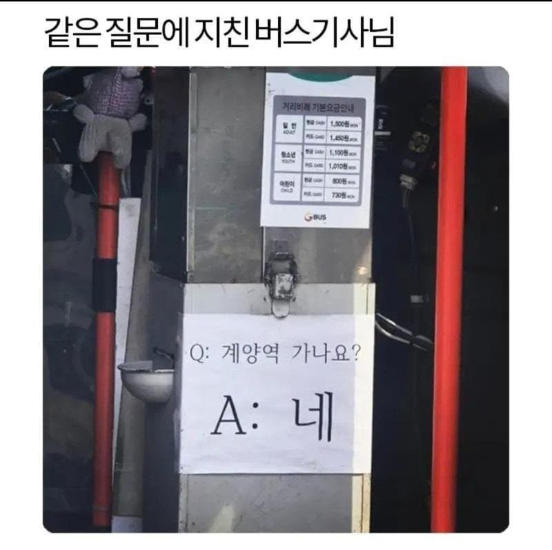  똑같은 질문에 지쳐버린 버스기사님