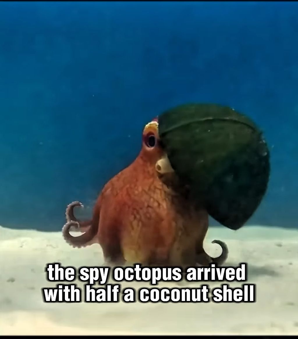 스파이하러 갔다가 찐친생김(feat. 🐙) | 인스티즈