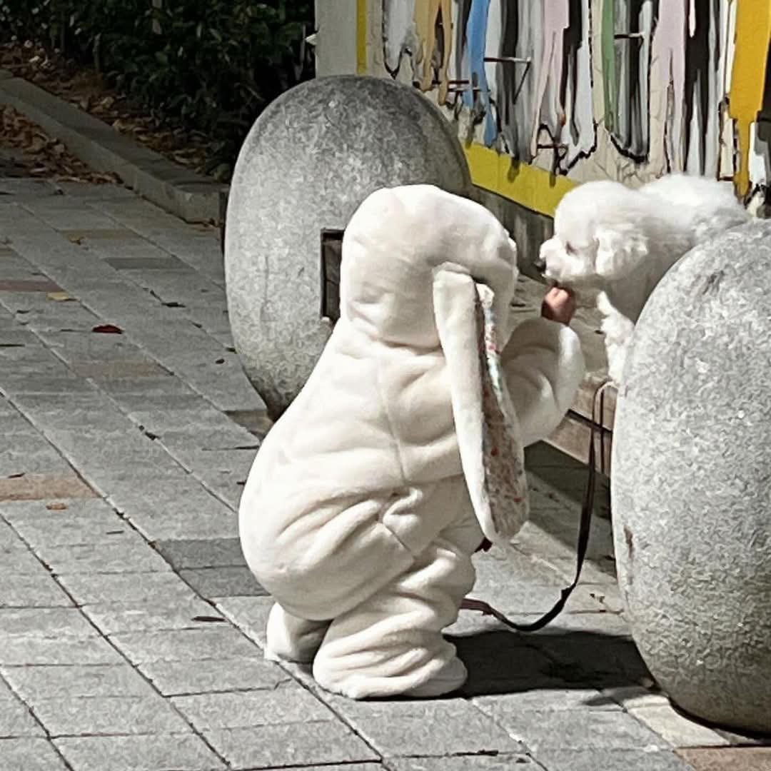  귀여움이 귀여움을 귀여워하는 중.jpg
