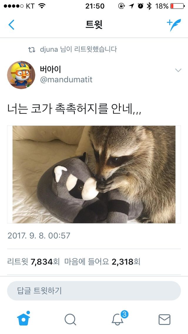 졸다가 츄르냄새 맡은 고양이 | 인스티즈