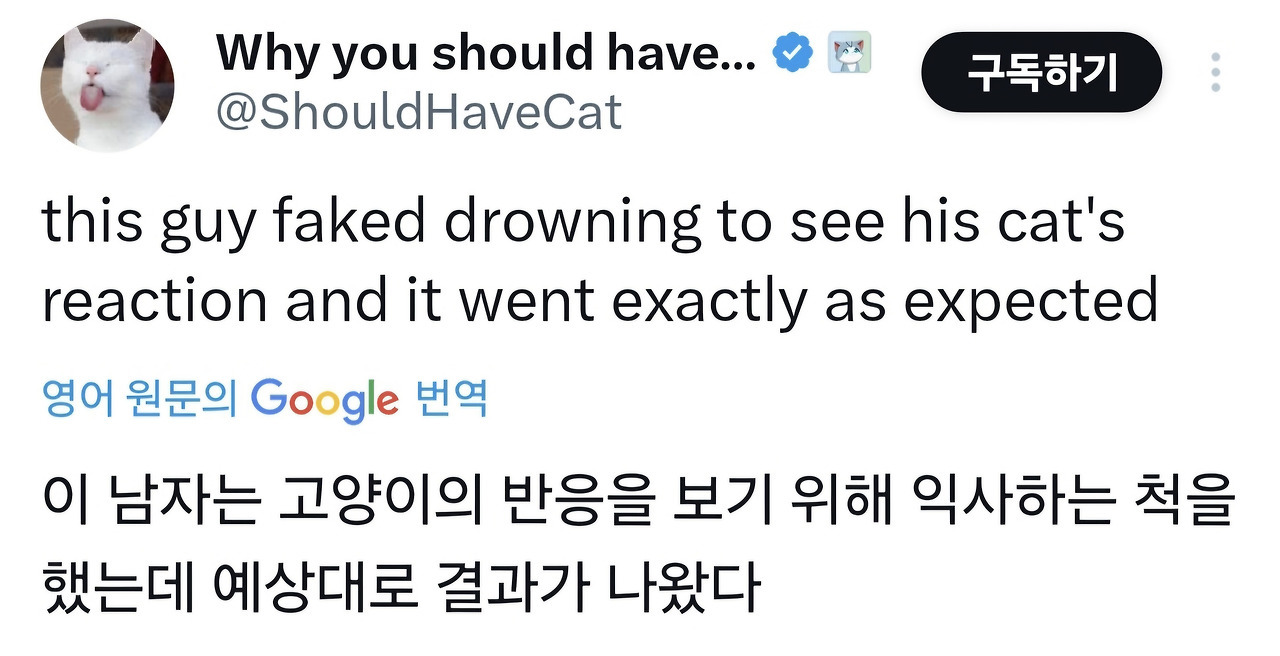 고양이 앞에서 익사하는 척 해보기.jpg