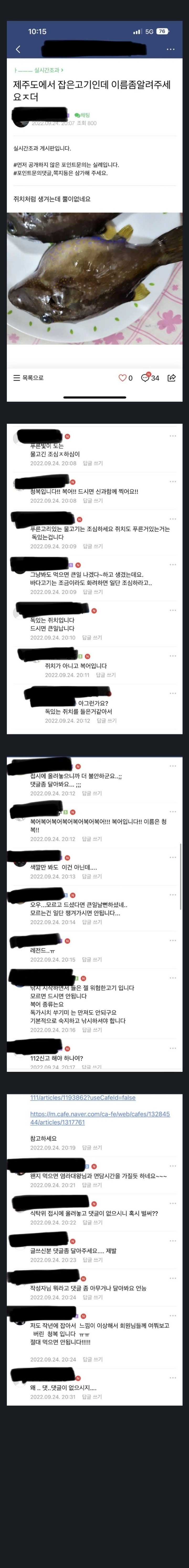 "제주도에서 잡은 고기인데 이름 좀 알려주세요." | 인스티즈