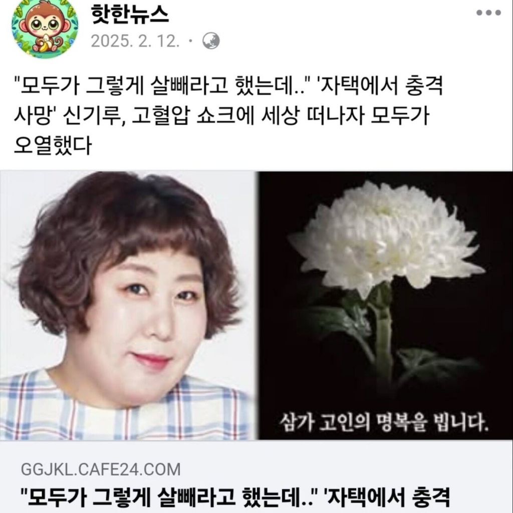 개그우먼 신기루 사망 오보 | 인스티즈