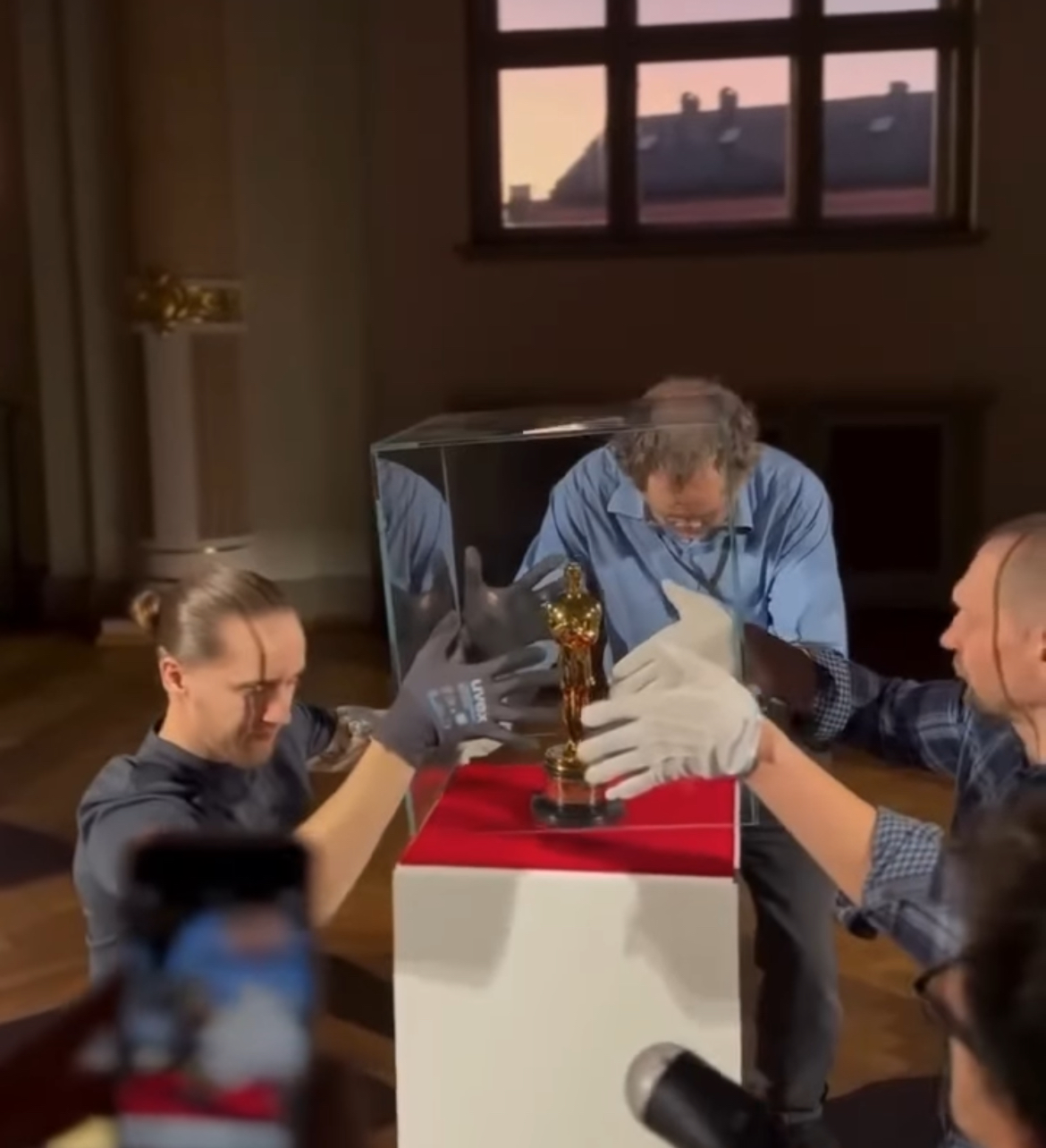 고양이 때문에 전 국민 축제 중인 라트비아 | 인스티즈