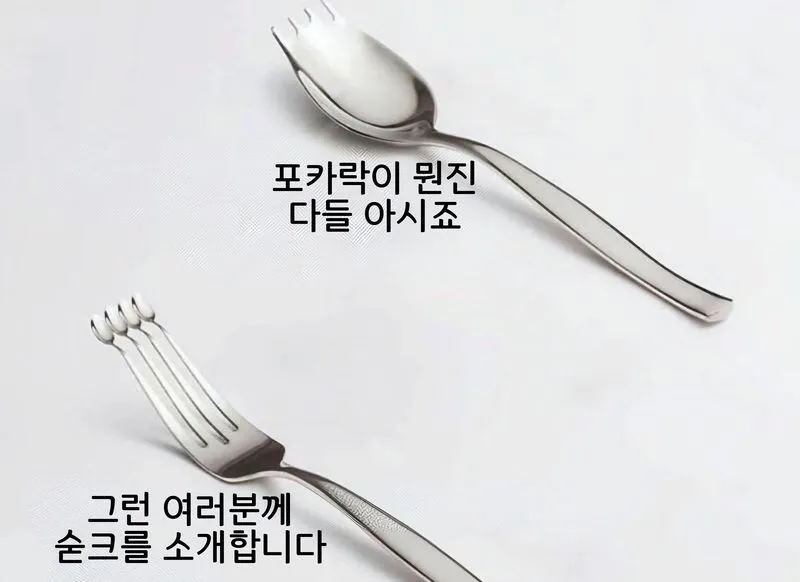  포카락이 뭔진 다들 아시죠