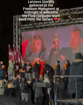 고양이 때문에 전 국민 축제 중인 라트비아 | 인스티즈