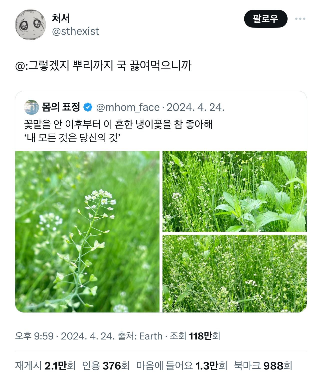  꽃말을 안 이후부터 냉이꽃을 참 좋아해