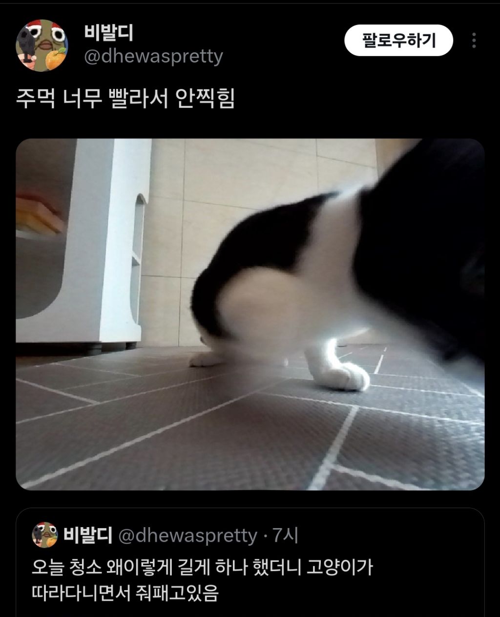 오늘 청소 왜이렇게 길게 하나 했더니 고양이가 따라다니면서 고있음.twt | 인스티즈