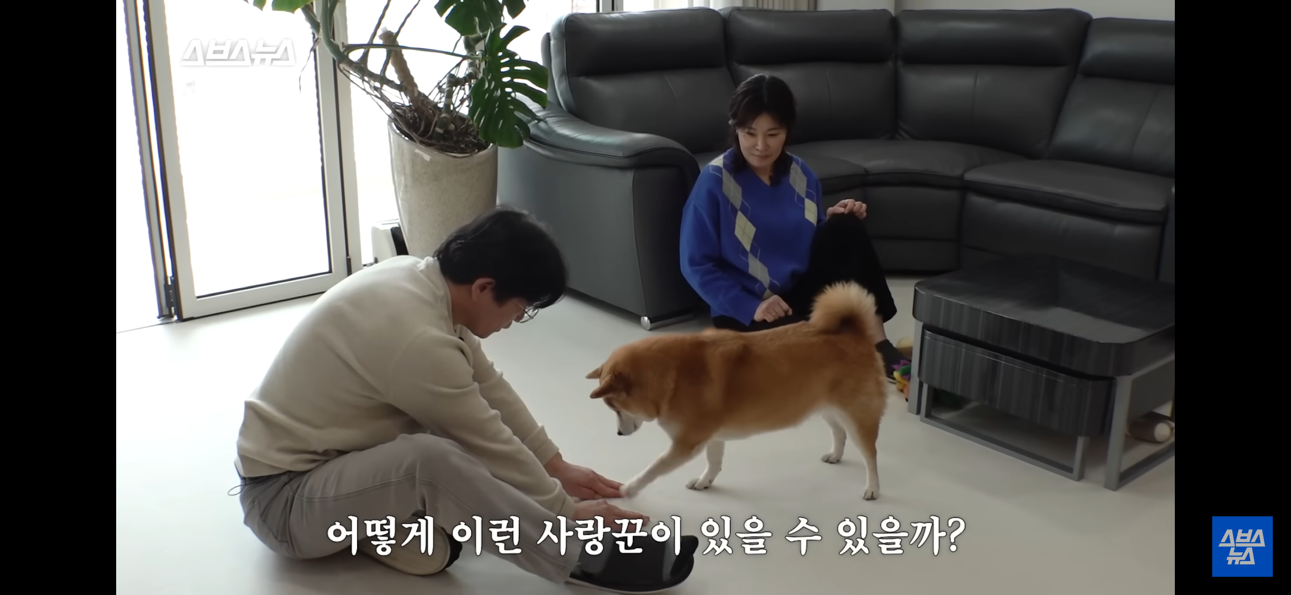 이혼숙려캠프 본 뒤에 이거 꼭 봐야함 ㅠㅠ | 인스티즈