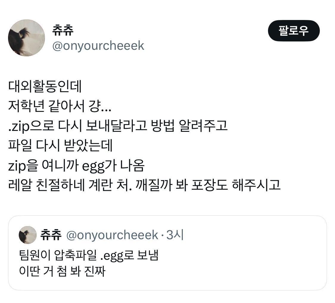 팀원이 압축파일 .egg로 보냄 | 인스티즈