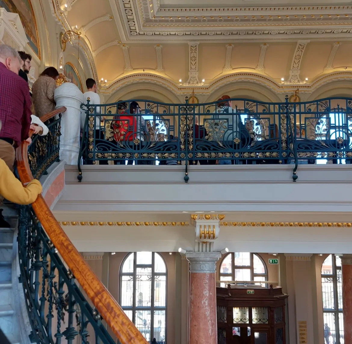 고양이 때문에 전 국민 축제 중인 라트비아 | 인스티즈