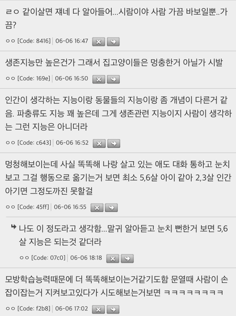 고양이 지능이 2~3세 아이랑 비슷하다는것도 편견이라더라 | 인스티즈