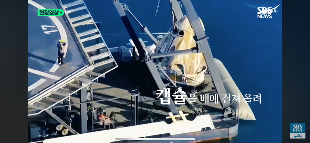 287일 만에 지구로 귀환한 우주비행사들을 환영해 주는 돌고래들🐬 | 인스티즈