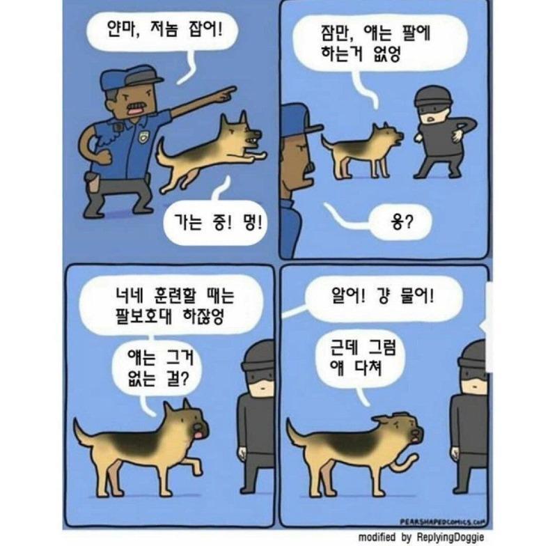 실제 경찰견이 짤리는 이유 중 하나 | 인스티즈
