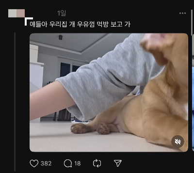 불륜, 풍자, 홍보가 뒤섞인 스레드 현황 | 인스티즈