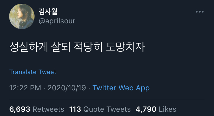 성실하게 살되 적당히 도망치자.twt | 인스티즈